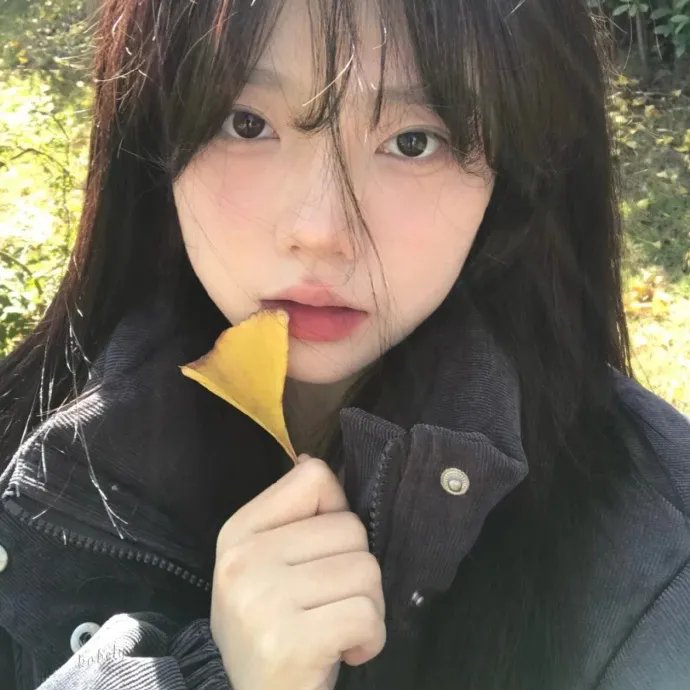 没有同情